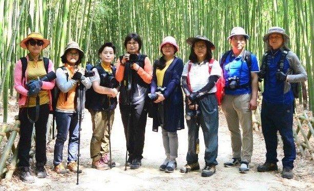 아리랑포커스 이미지